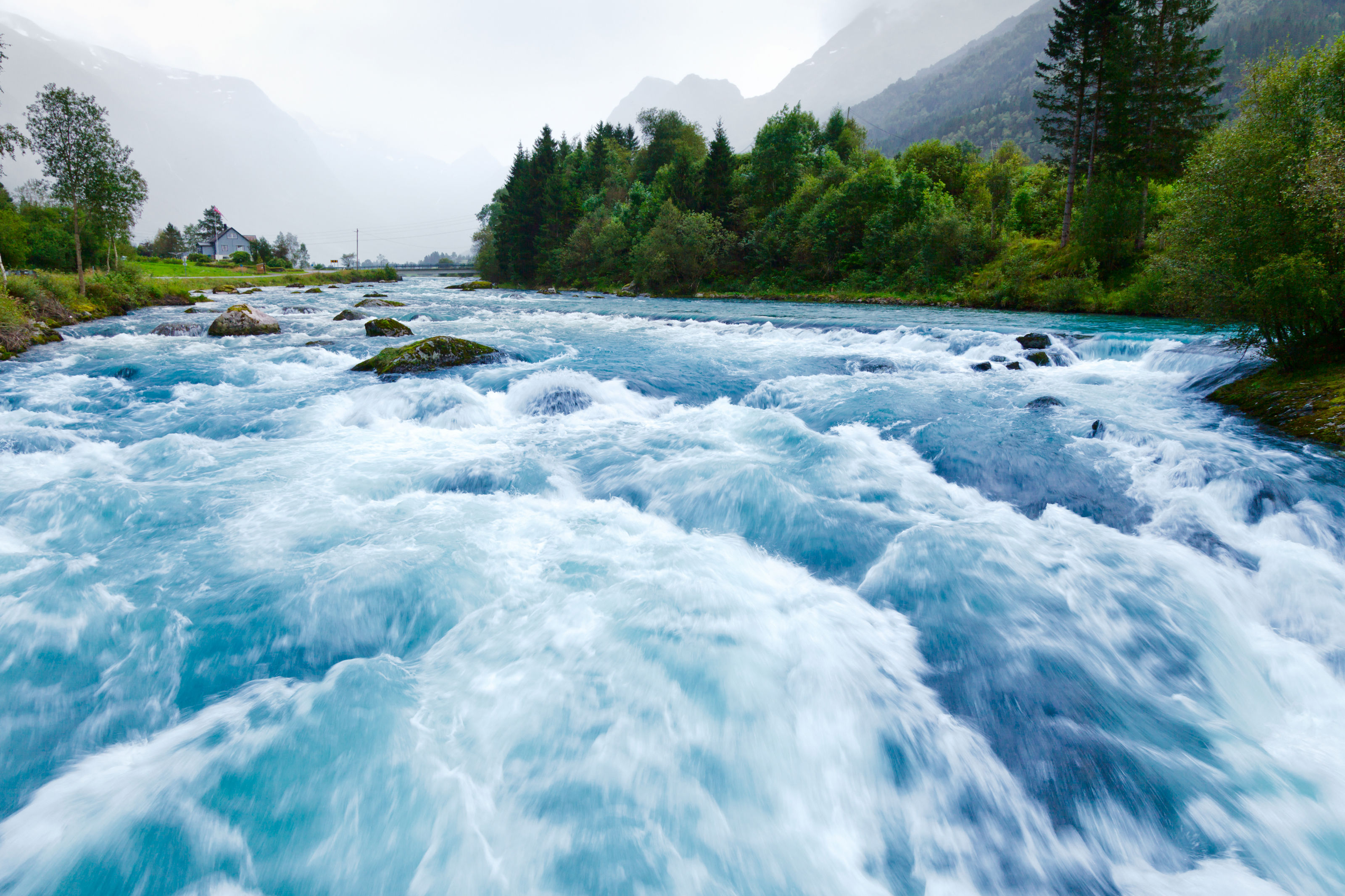 River streaming down. Green forest surrounding the river.